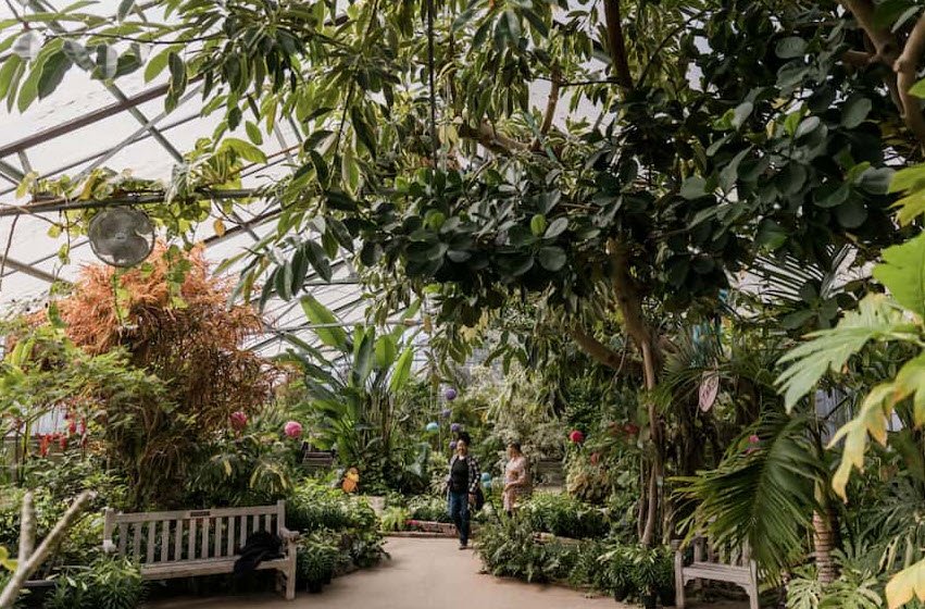 Luthy Botanical Garden, United States